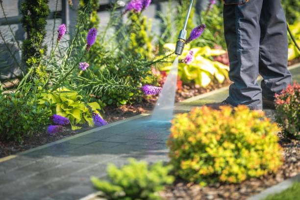 Best Pre-Holiday Cleaning  in Balcones Heights, TX