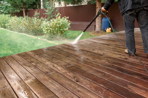 Animal Enclosure Cleaning in Balcones Heights, TX